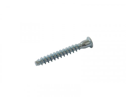FIRMAX Конфирмат D6.3x50, шестигранник, оцинкованный, с отверстием под заглушку 1 шт. FIRMAX Конфирмат D6.3x50, шестигранник, оцинкованный, с отверстием под заглушку 1 шт.
